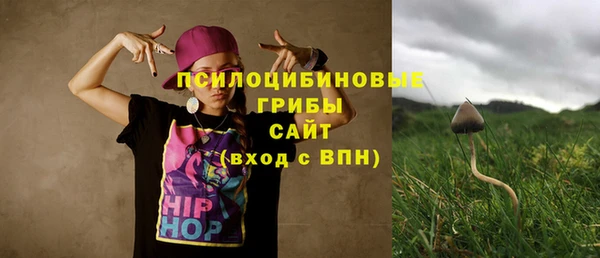 дурь Семёнов