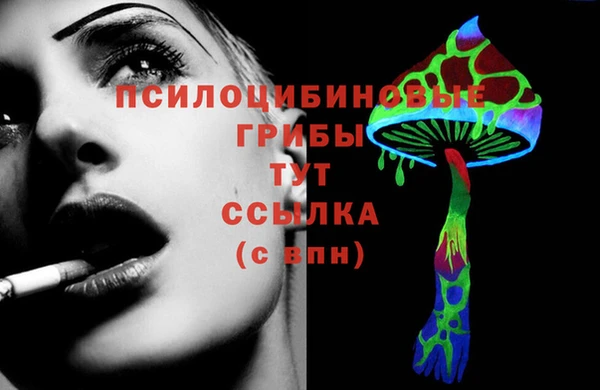 дурь Семёнов