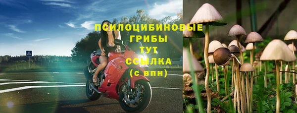 эйфоретик Семилуки